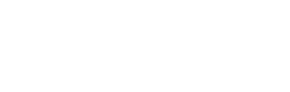 Holo